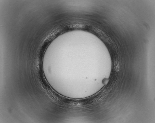 X0000110980735200907101409