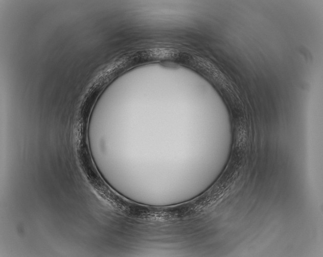 X0000110980736200907101409