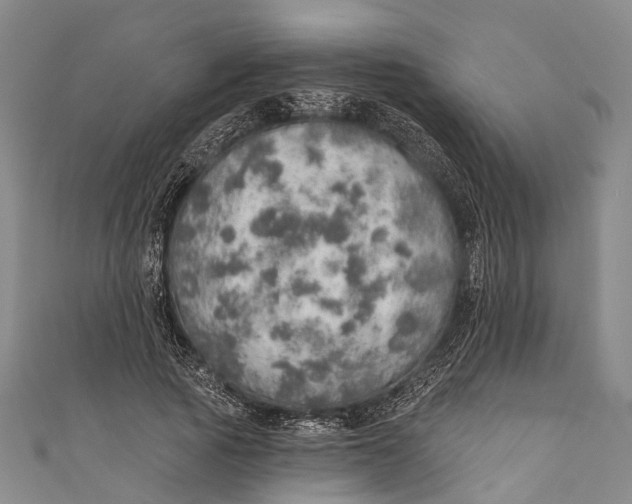 X0000110980737200907101409