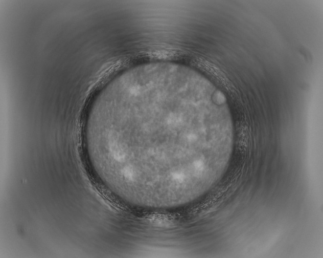 X0000110980738200907101409