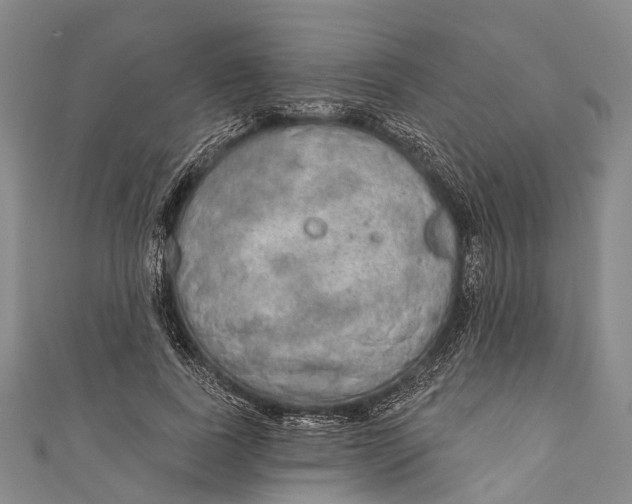 X0000110980739200907101409