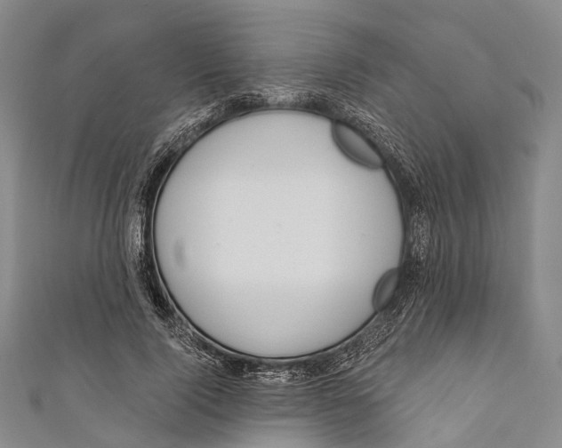 X0000110980740200907101409