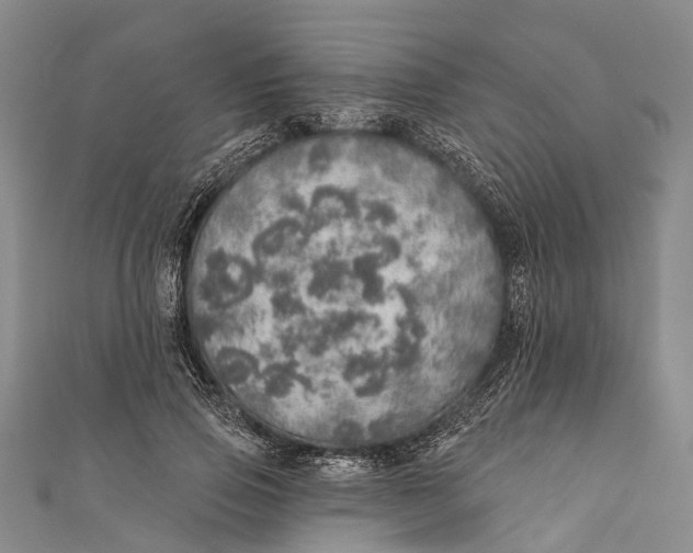 X0000110980741200907101409