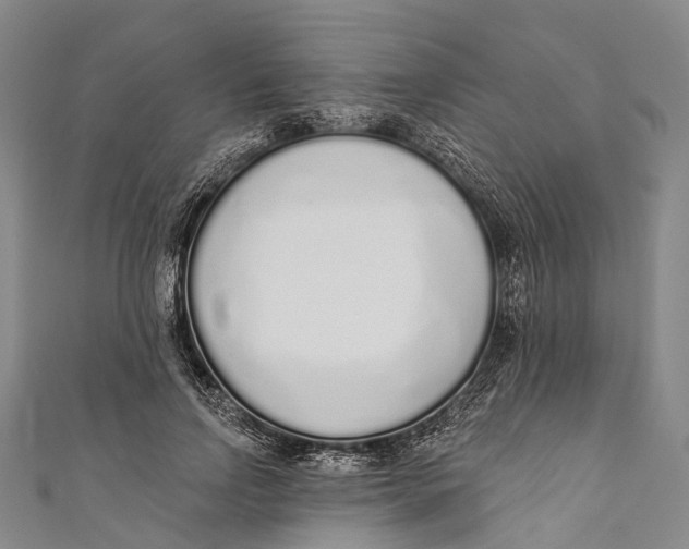 X0000110980742200907101409