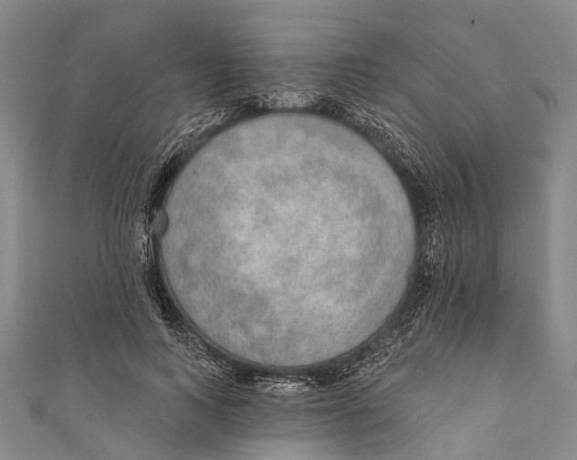 X0000110980743200907101409