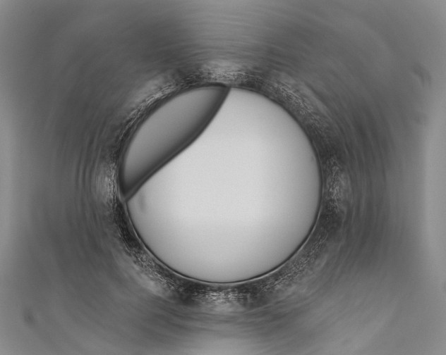 X0000110980744200907101409