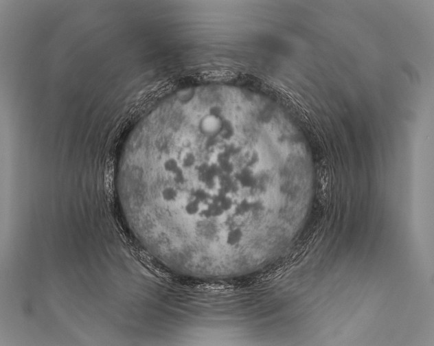 X0000110980745200907101409