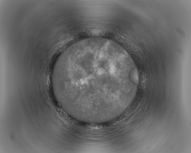 X0000110980746200907101409