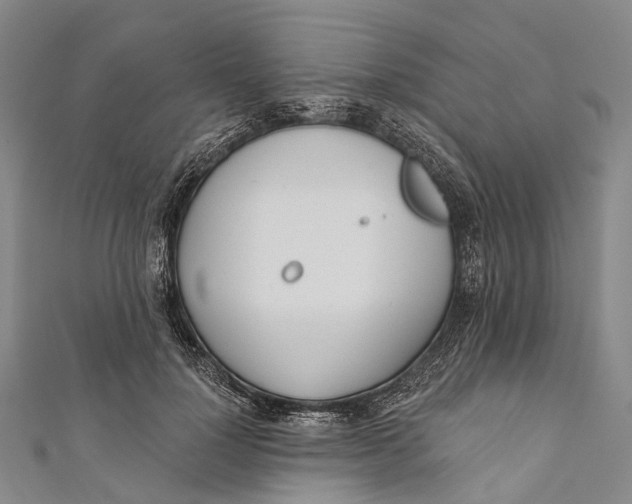 X0000110980748200907101410