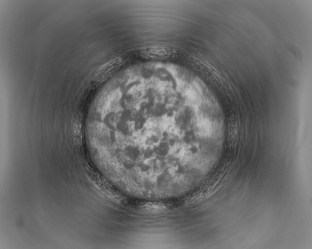 X0000110980749200907101410