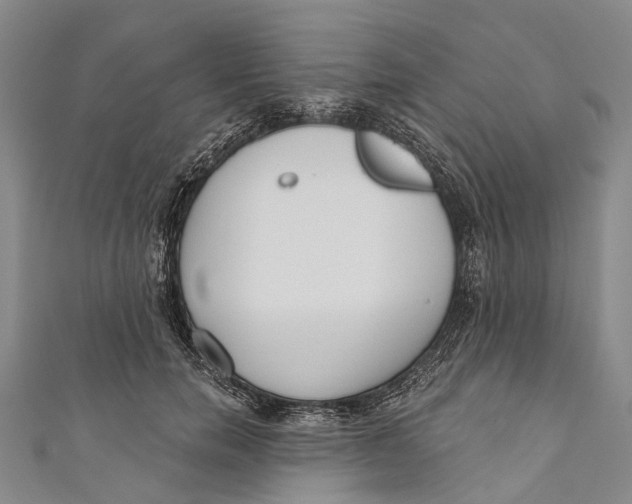 X0000110980750200907101410