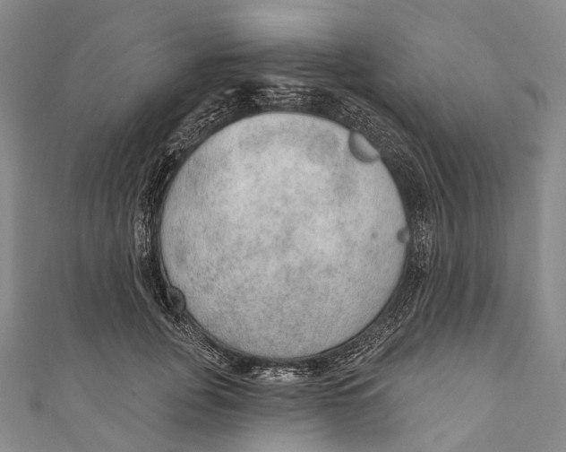 X0000110980751200907101410