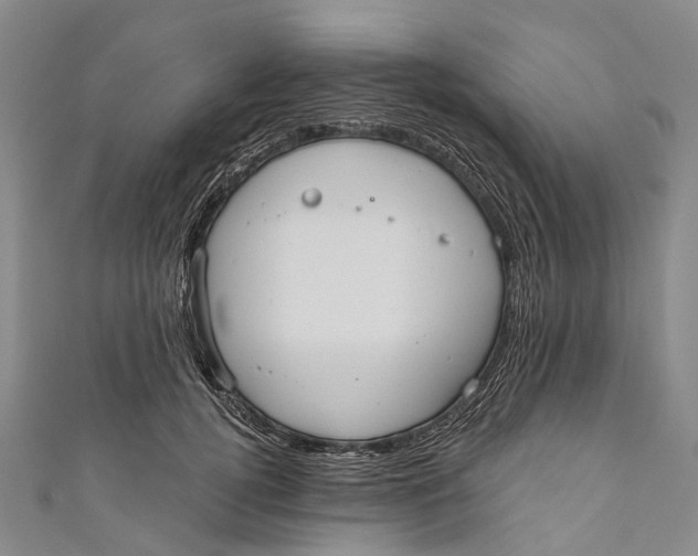 X0000110980752200907101410