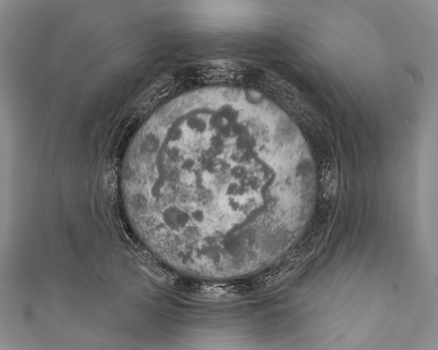 X0000110980753200907101410