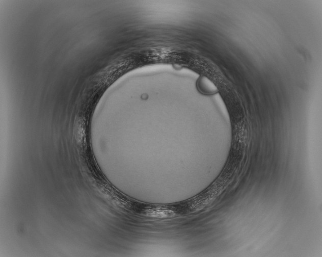 X0000110980754200907101410