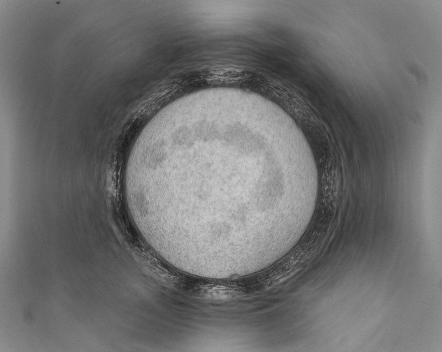 X0000110980755200907101410