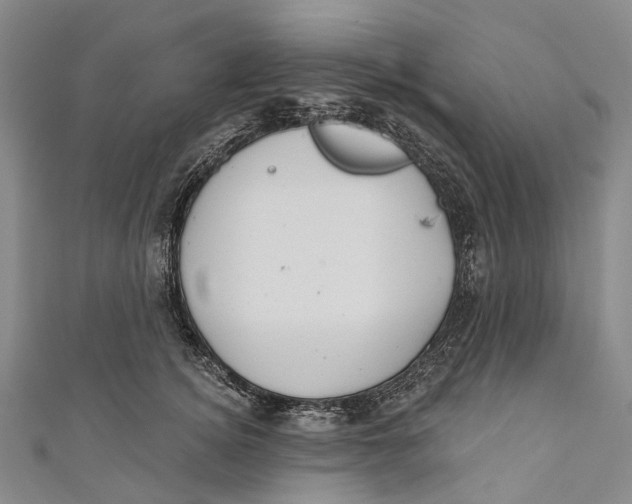 X0000110980756200907101410