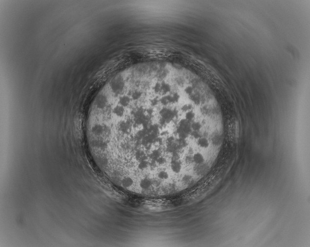 X0000110980757200907101410