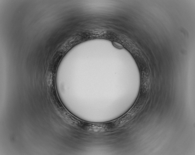 X0000110980758200907101410