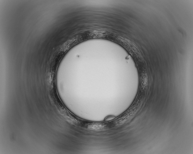 X0000110980759200907101410