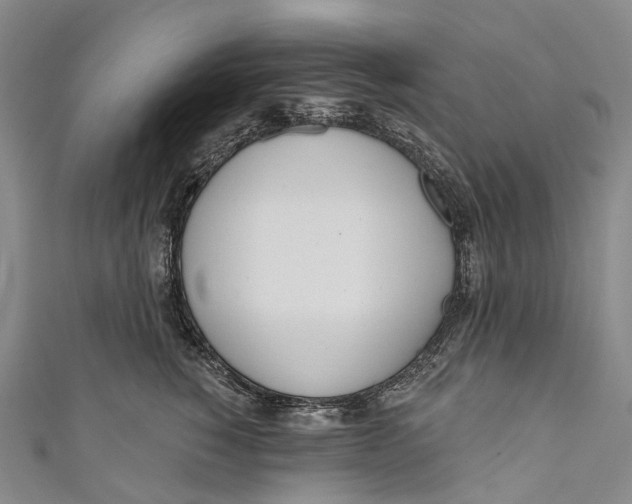 X0000110980760200907101410