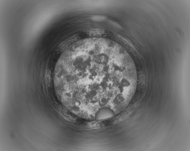 X0000110980761200907101410