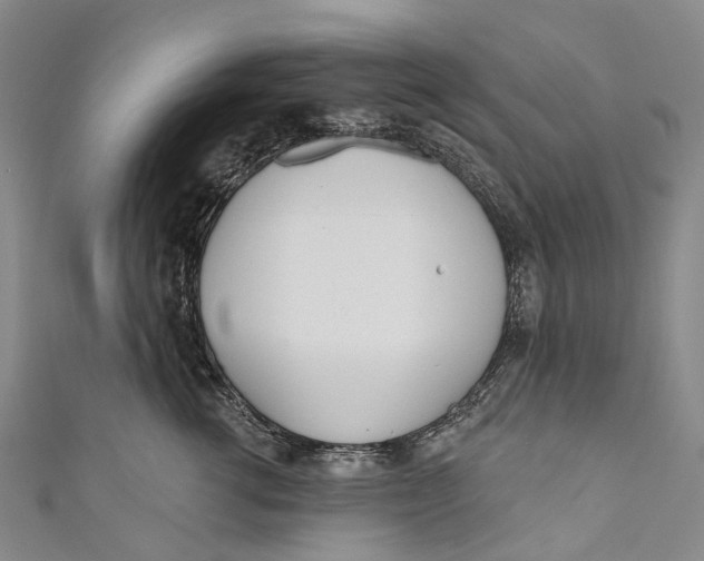 X0000110980762200907101410