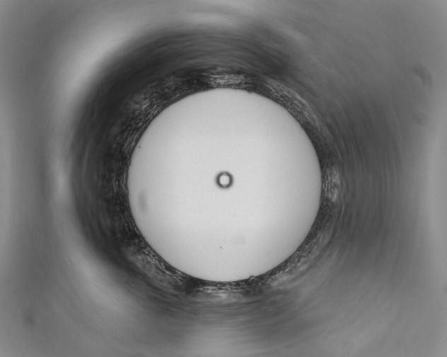 X0000110980763200907101410