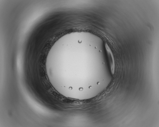 X0000110980764200907101410