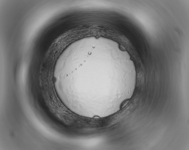 X0000110980765200907101410