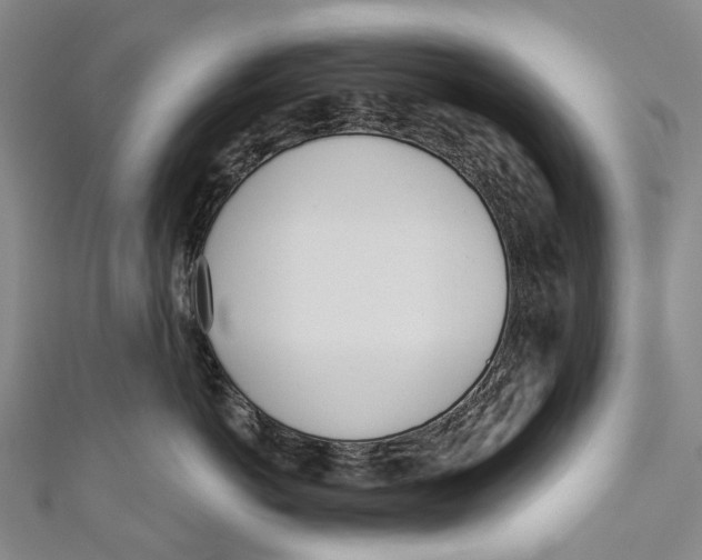 X0000110980766200907101410