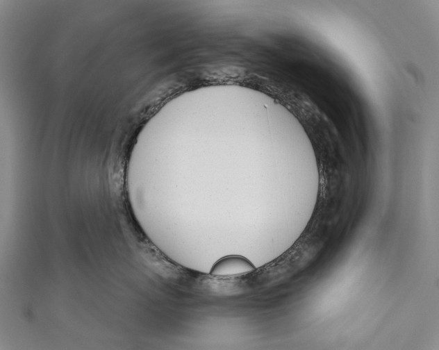 X0000110980767200907101410