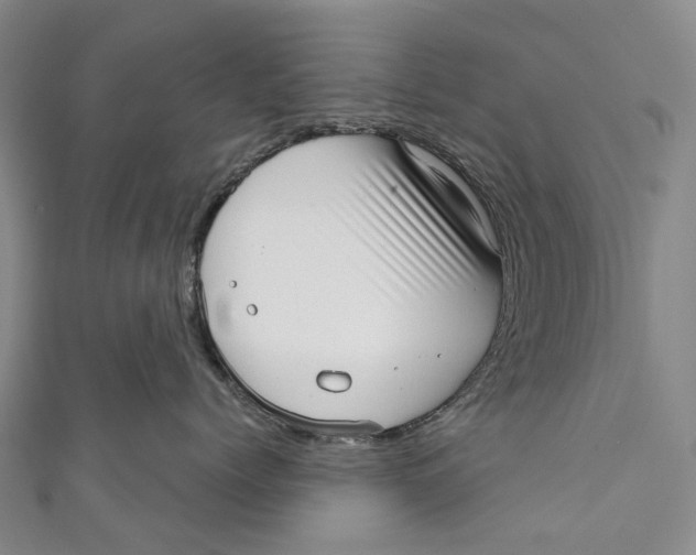 X0000110980768200907101410