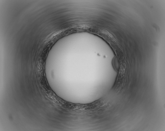 X0000110980773200907101409