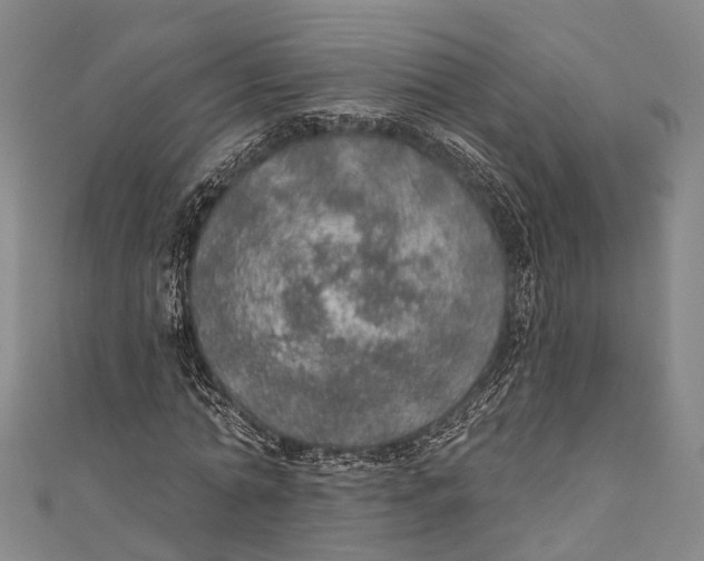 X0000110980774200907101409