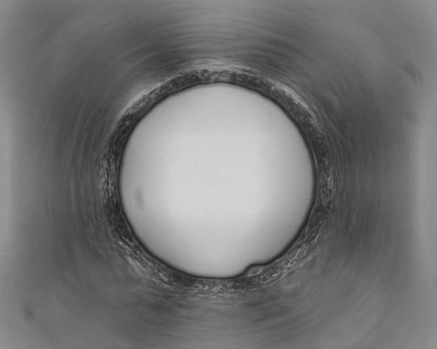 X0000110980775200907101409