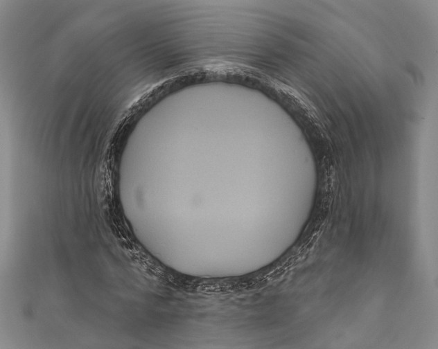 X0000110980776200907101409