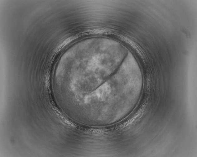 X0000110980778200907101409