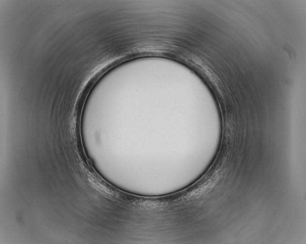 X0000110980779200907101409