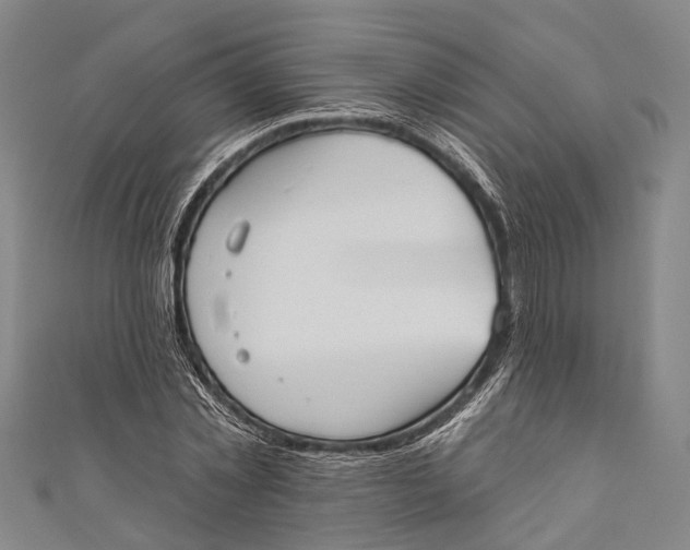 X0000110980781200907101409