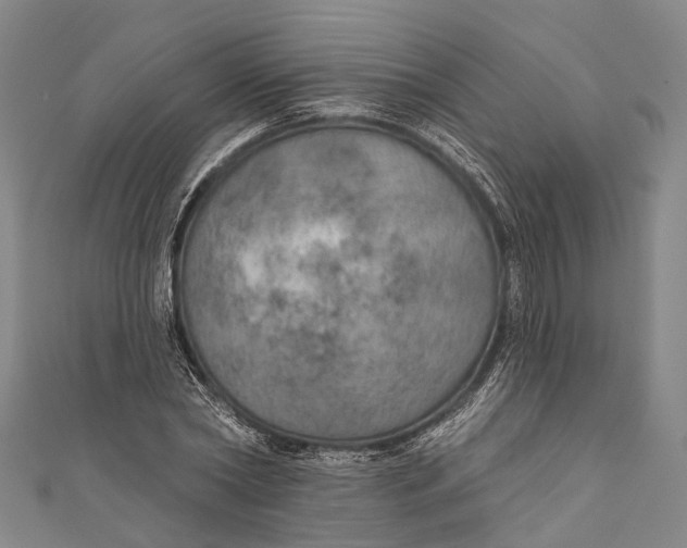 X0000110980782200907101409