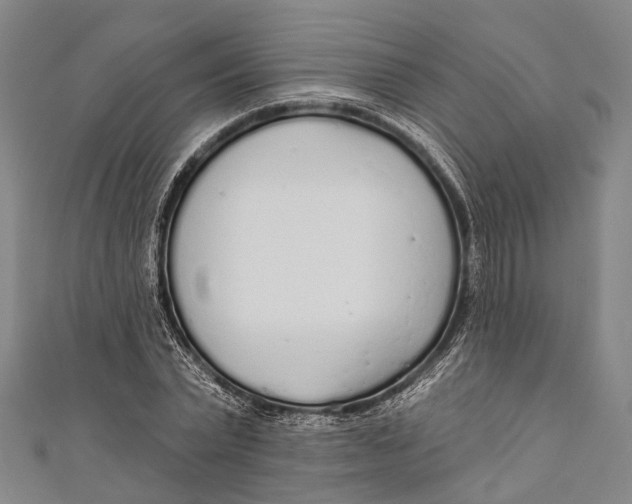 X0000110980783200907101409