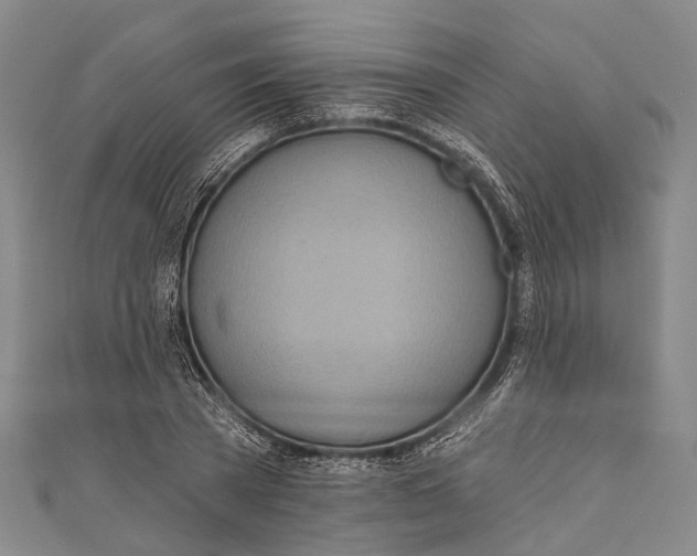 X0000110980785200907101409