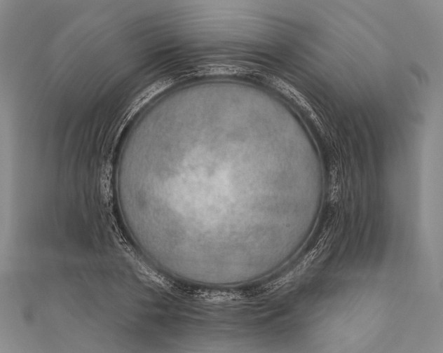 X0000110980786200907101409