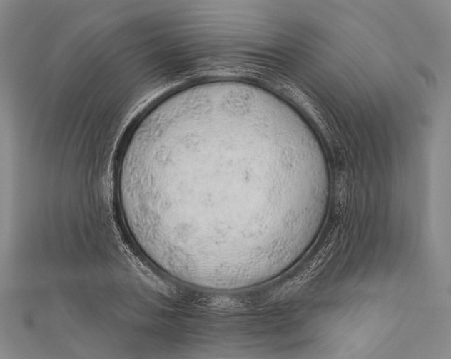 X0000110980787200907101409