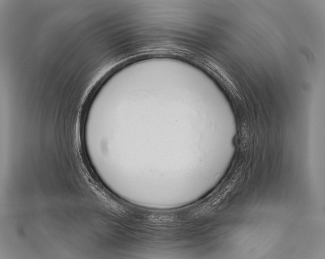 X0000110980788200907101409