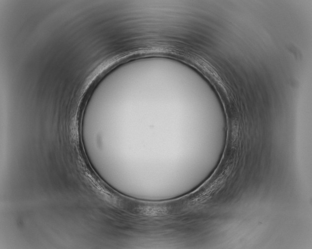 X0000110980789200907101409