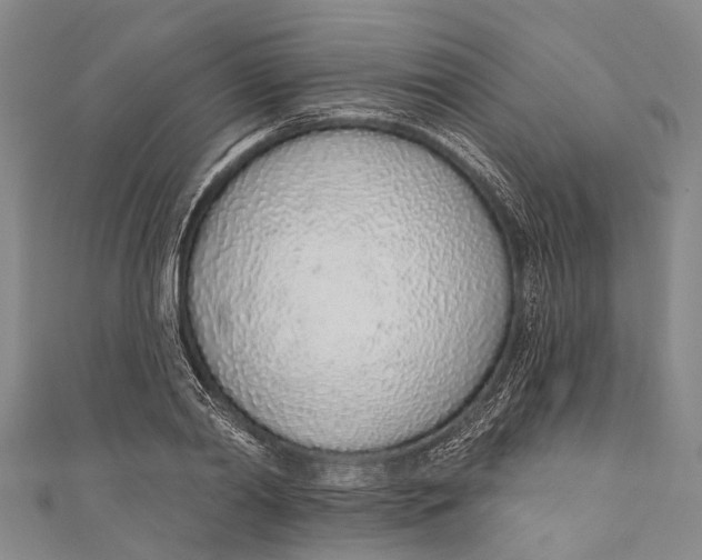 X0000110980790200907101409