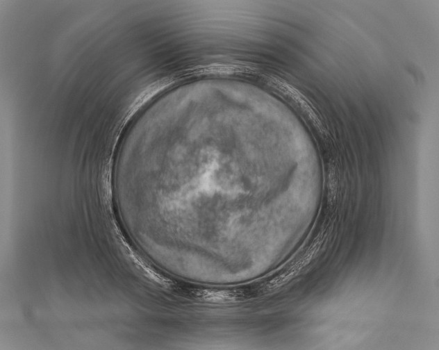 X0000110980794200907101409