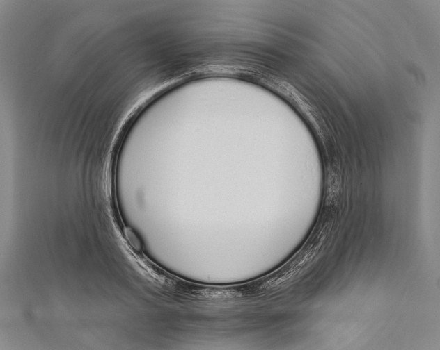 X0000110980795200907101409